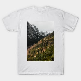 Mountain valley T-Shirt